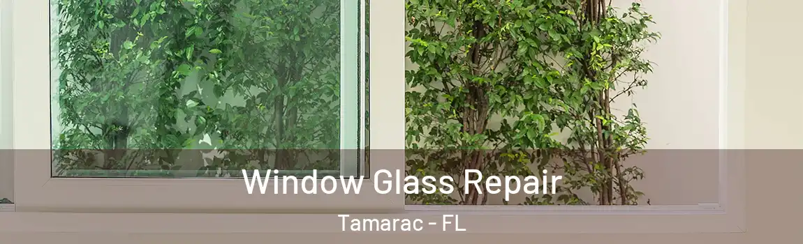 Window Glass Repair Tamarac - FL